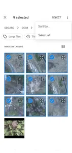 Lacmus Mobile screenshot 1