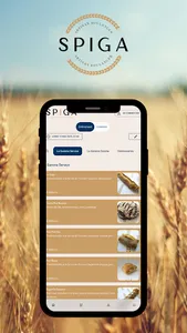 Spiga boulangeries screenshot 0