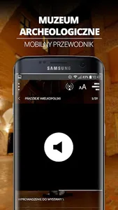 Muzeum Archeologiczne Poznań - screenshot 4