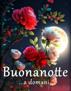 Buongiorno e Buonanotte 2024 screenshot 5