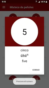 Mixteco de Santa María Peñoles screenshot 0