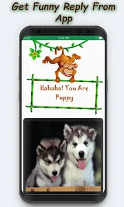 Face Scaner: Which Animal I Am screenshot 1
