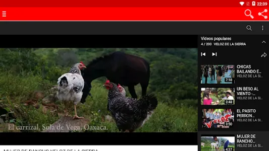 Chilenas de Oaxaca - Musica screenshot 11