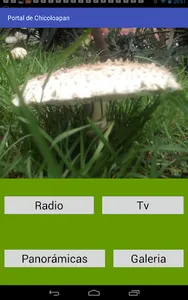 Portal de Chicoloapan screenshot 9