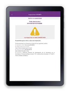 Inspecciones EDOMEX screenshot 10