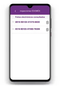 Inspecciones EDOMEX screenshot 7