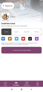 IEES Elecciones Juveniles screenshot 3