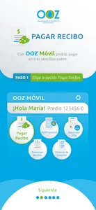 OOZ - Pagos y Consultas screenshot 5