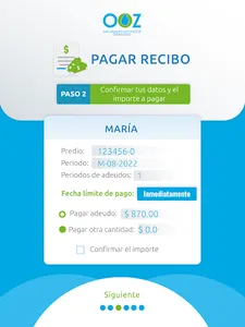 OOZ - Pagos y Consultas screenshot 8