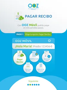 OOZ - Pagos y Consultas screenshot 9