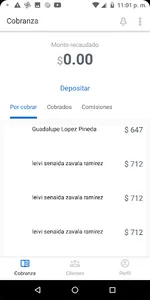 MaxiVale screenshot 1