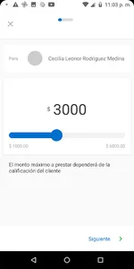 MaxiVale screenshot 4
