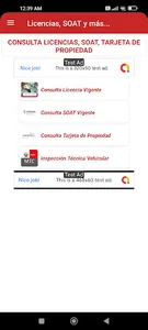 Consulta: Licencias, SOAT screenshot 1