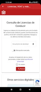 Consulta: Licencias, SOAT screenshot 2