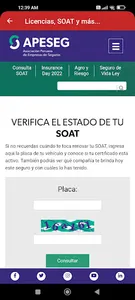 Consulta: Licencias, SOAT screenshot 3