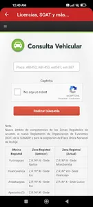 Consulta: Licencias, SOAT screenshot 4