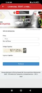 Consulta: Licencias, SOAT screenshot 5