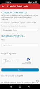 Consulta: Licencias, SOAT screenshot 6
