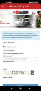 Consulta: Licencias, SOAT screenshot 7