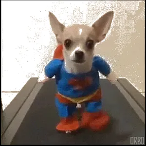 LIve Dog GIF Wallpaper screenshot 1