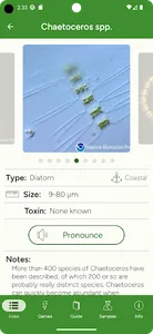 Phyto screenshot 1