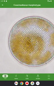 Phyto screenshot 10