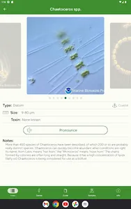 Phyto screenshot 17