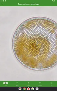 Phyto screenshot 18