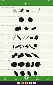Phyto screenshot 20