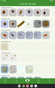 Phyto screenshot 21