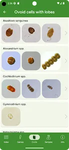 Phyto screenshot 5