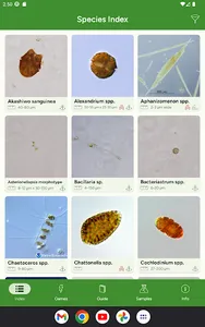 Phyto screenshot 8