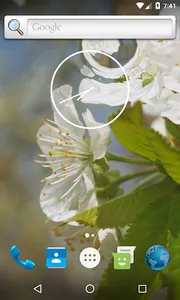 Flowering cherry Wallpaper screenshot 0