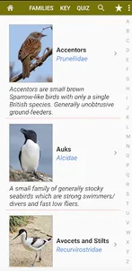 Birds of Britain screenshot 1