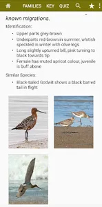 Birds of Britain screenshot 3