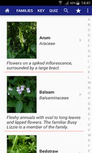 Flowers of Britain screenshot 1