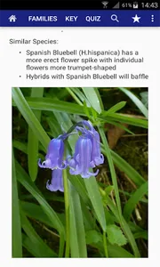 Flowers of Britain screenshot 3