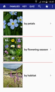 Flowers of Britain screenshot 4