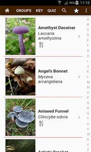 Fungi of Britain screenshot 0