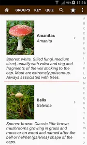 Fungi of Britain screenshot 1