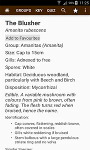 Fungi of Britain screenshot 2