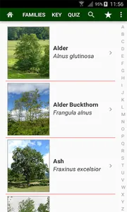 Trees of Britain screenshot 0