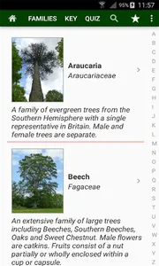 Trees of Britain screenshot 1