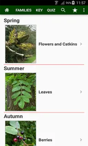 Trees of Britain screenshot 2