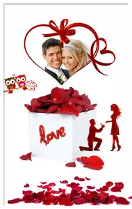 Love Propose screenshot 18