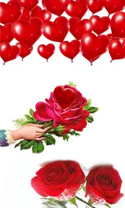 Love Propose screenshot 8