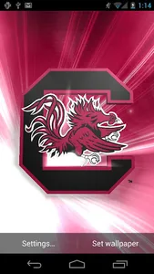 South Carolina Live Wallpaper screenshot 1