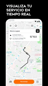 LM Remisse Conductor screenshot 2