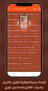 Al Quran Offline Ismail Nuri screenshot 1