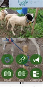 Namira Farm | Qurban & Aqiqah screenshot 1